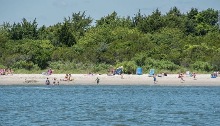 Rachel Carson Reserve