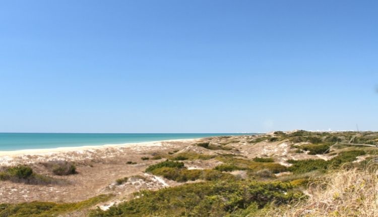 Fort Macon Beach Area