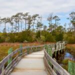 The 15 Best Hiking and Biking Trails Throughout The Crystal Coast
