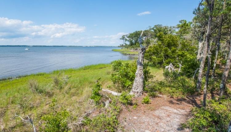 Alice Hoffman Nature Trail – Pine Knoll Shore