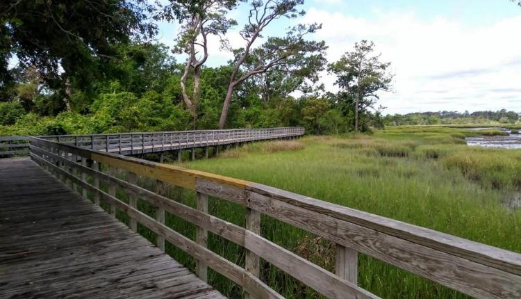 Calico Creek Boardwalk – Morehead City