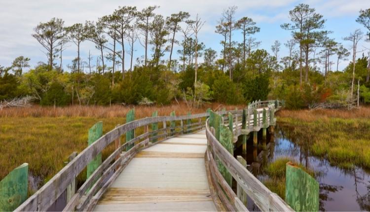 Cedar Point Tideland Trail at Croatan National Forest – Swansboro