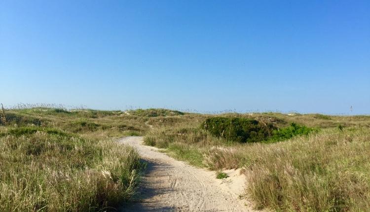 Elliott Coues Nature Trail at Fort Macon State Park – Atlantic Beach