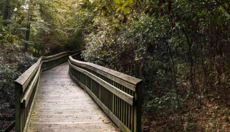 Emerald Isle Woods Park – Emerald Isle