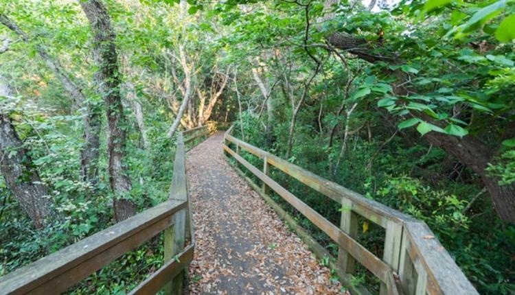 Hoop Pole Creek Nature Trail – Atlantic Beach