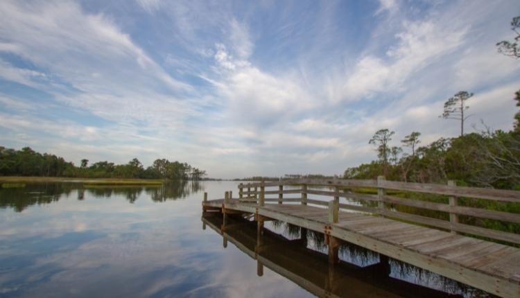 Patsy Pond Nature Trail – Croatan National Forest