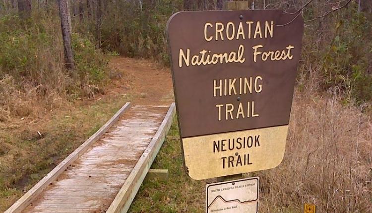 The Neusiok Trail – Croatan National Forest