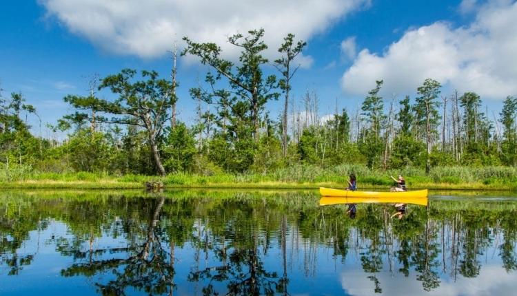 Trails at Cedar Island National Wildlife Refuge – Cedar Island