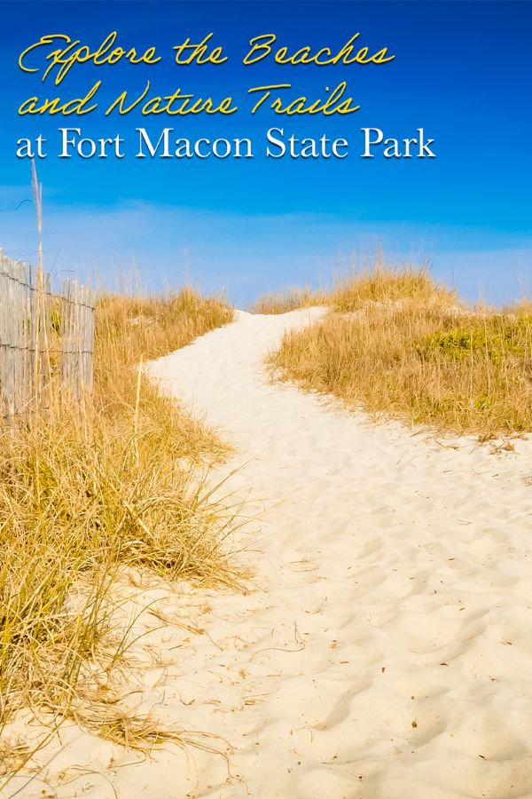 Explore the Beaches and Nature Trails at Fort Macon State Park