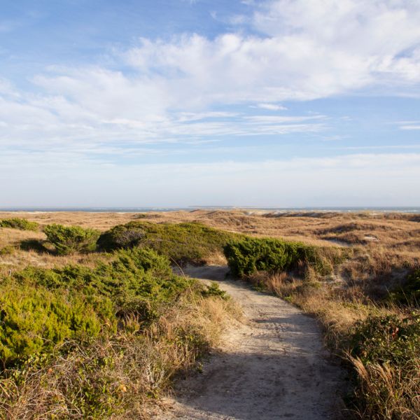 Fort Macon Beach Trail