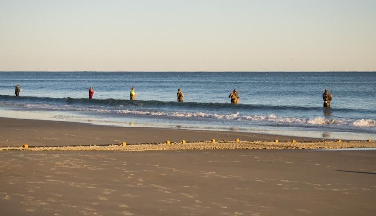 Surf fishing on the Crystal Coast