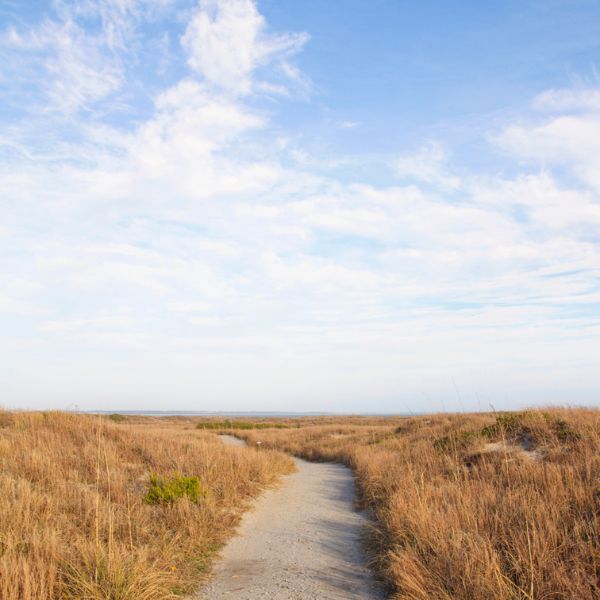 Yarrow’s Loop