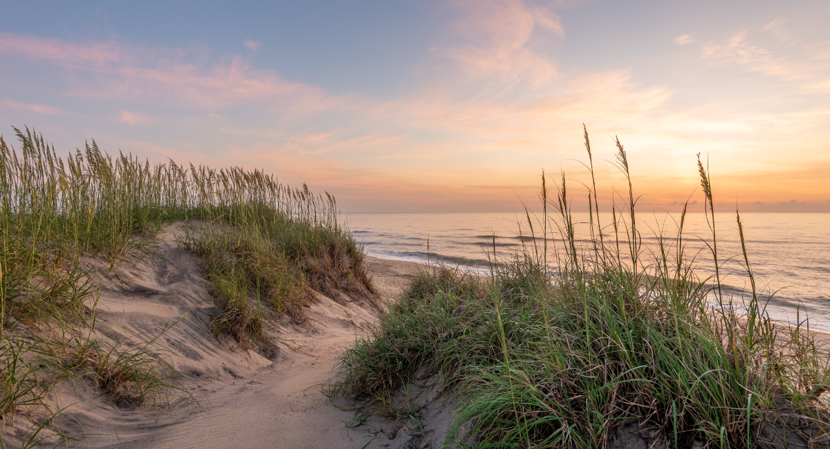 image of crystal coast beach