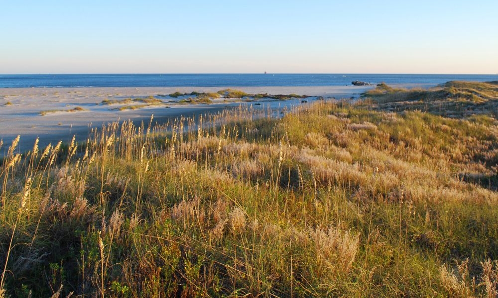 Play on the beaches at Fort Macon State Park