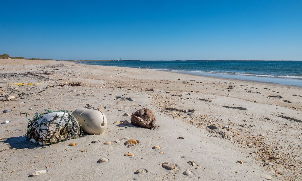 Shelling on North Carolina's Southern Outer Banks