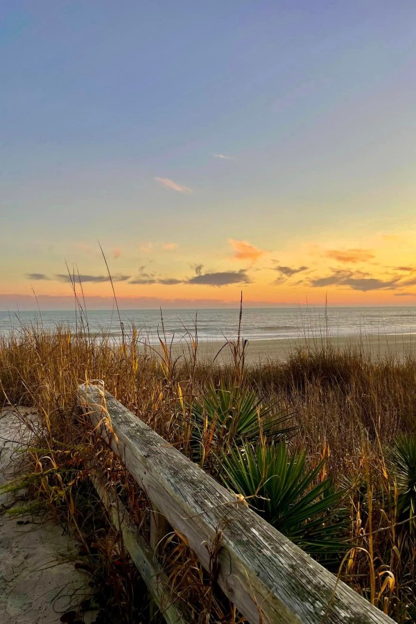 Emerald Isle Realty Vacation Rental Blog