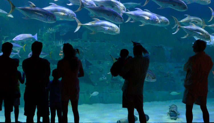 NC Aquarium in Pine Knoll Shores