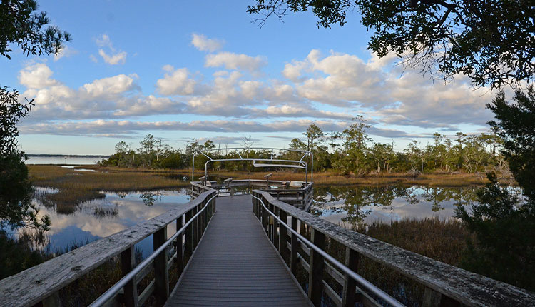 Hike along the trails at Theodore Roosevelt Natural Area