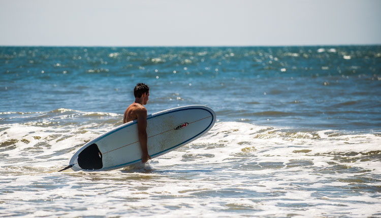 Learn how to surf