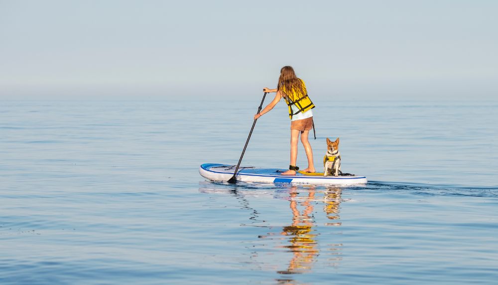 Pet Friendly Vacation Rentals in Emerald Isle and the Crystal Coast