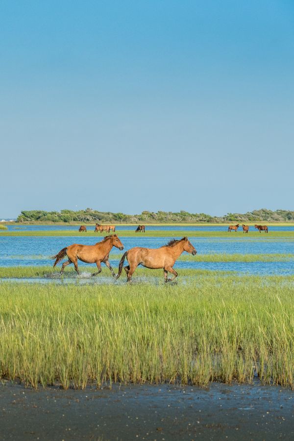 Emerald Isle Parks & Outdoors | National Parks, Seashores & Nature Areas