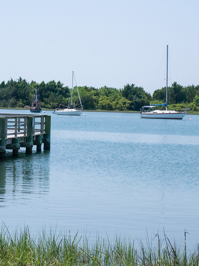 Best Boat Tours on North Carolina’s Crystal Coast