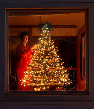 Christmas tree in the window