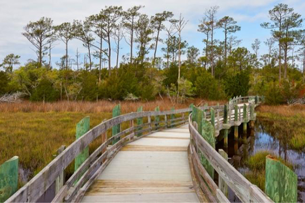 Hiking Trails throughout the Crystal Coast