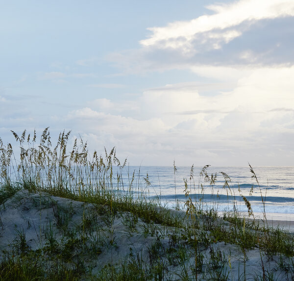 Winter Beach Getaways on NC's Crystal Coast