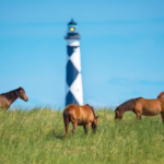 Ultimate Guide to Nature and Outdoor Activities in Emerald Isle, NC