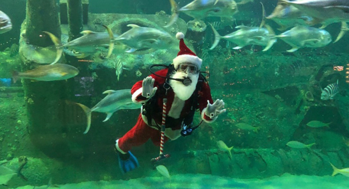 Create Holiday Keepsakes at Santa By The Sea