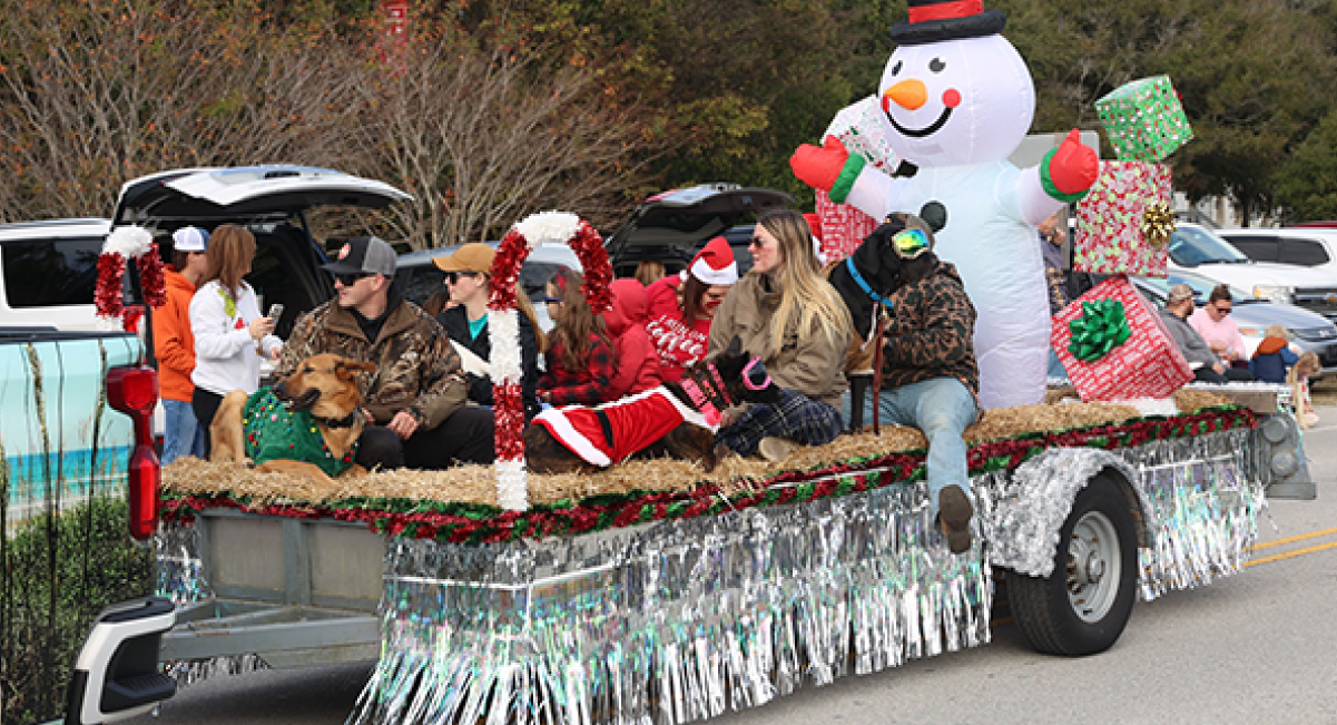 Watch a Christmas Parade on Land