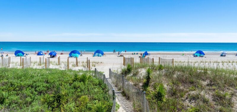 Shakin' the Speedway Deal Shakin' the Speedway Deal