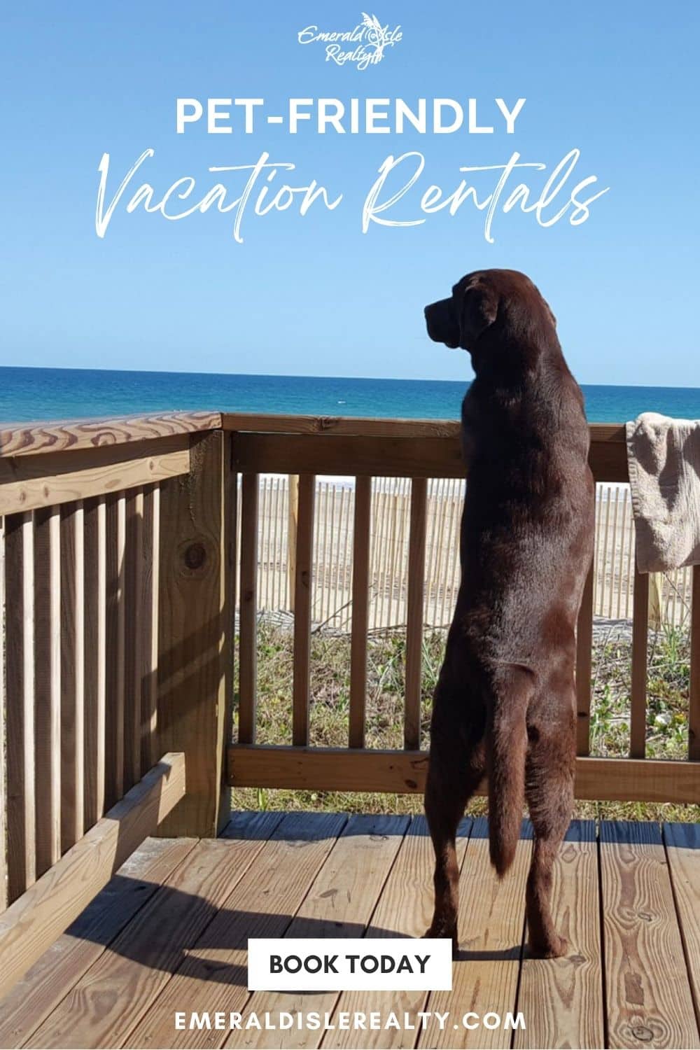 Pet-Friendly Vacation Rentals in Emerald Isle and the Crystal Coast