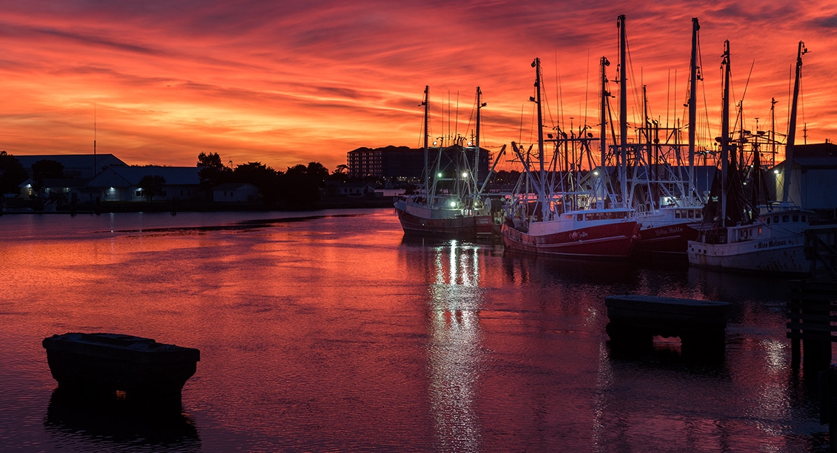 Why Buy Local seafood and produce on the Crystal Coast