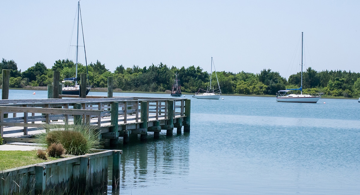 a place to see wild horses near Emerald Isle NC