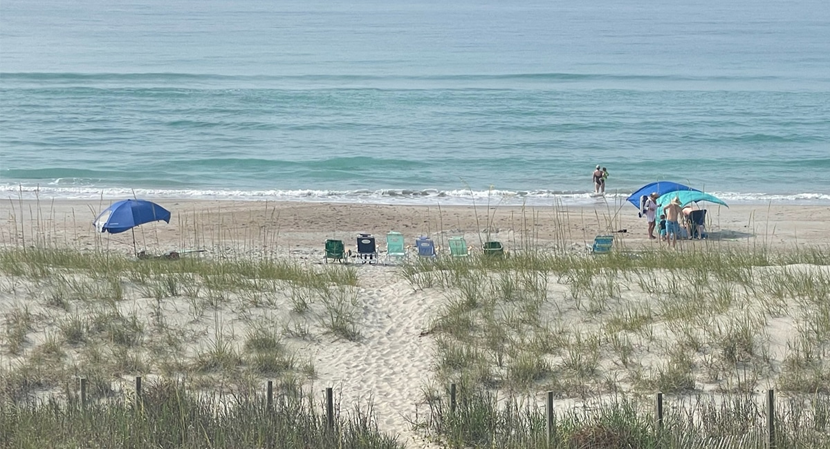 pet-friendly beach in emerald isle nc