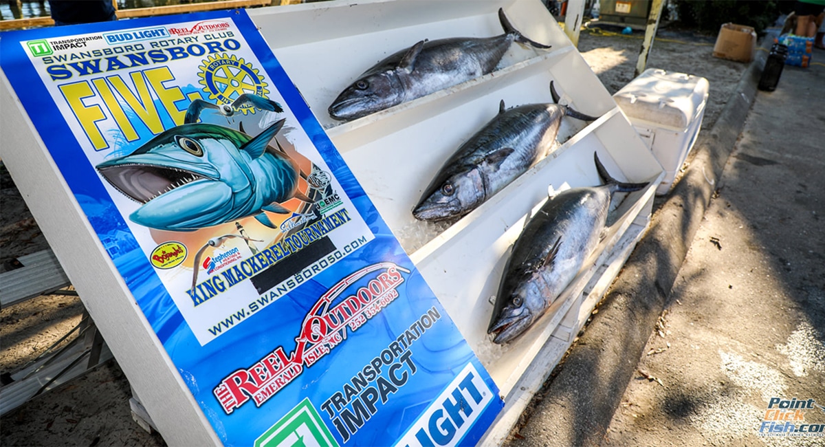 Swansboro Five-O King Mackerel Tournament