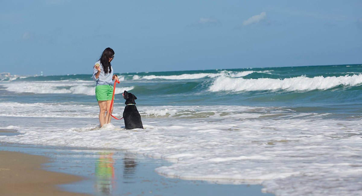 woman and her dog along the pet-friendly beaches in emerald isle nc
