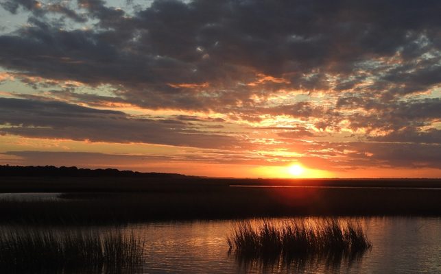 Summer Day Trip Ideas from Emerald Isle - Hammocks Beach State Park