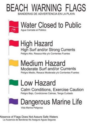 Beach Warning Flags Beach Warning Flags