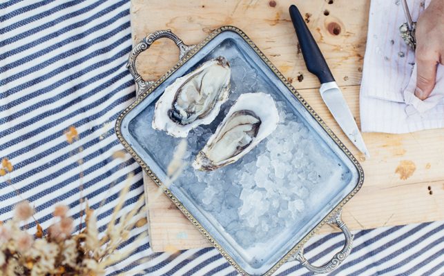 Best Picnic Spots on North Carolina’s Crystal Coast-Seafood