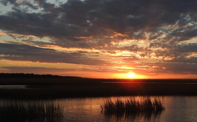 Best Picnic Spots on North Carolina’s Crystal Coast-Hammocks Beach