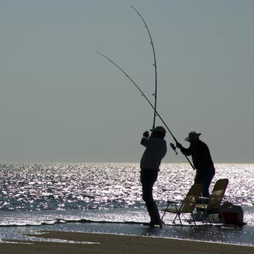 Fishing in Emerald Isle, NC - Popular Fishing Spots, Charters & Guides