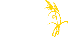 Emerald Isle Realty