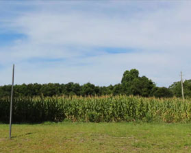 Land and Lots for Sale in Emerald Isle North Carolina