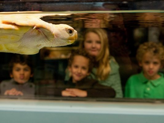 Fun Things to Do on a Rainy Day in the Outer Banks