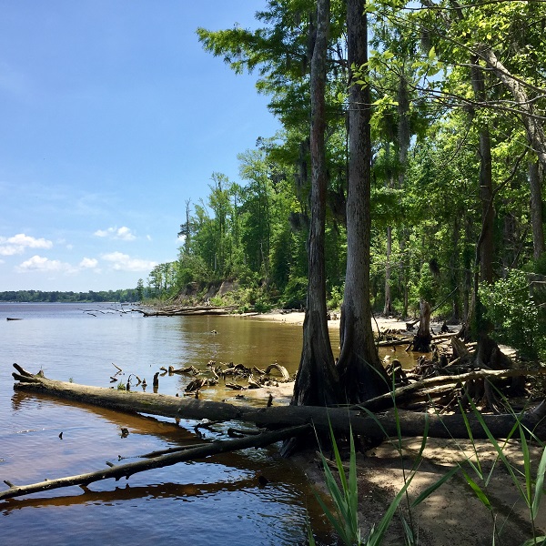 Neuse River - Croatan National Forest NC