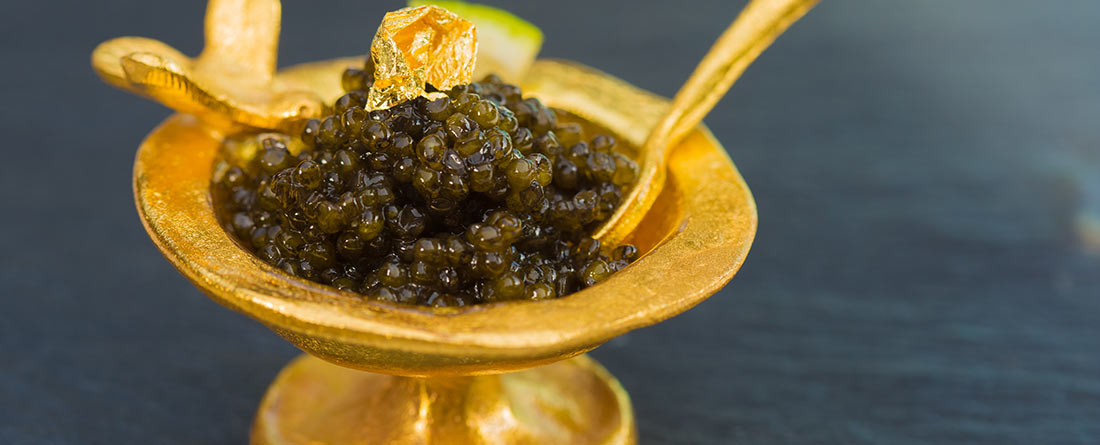 Oestra Caviar Marshallberg Farm